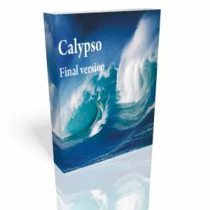 Calypso 1.04 Мультивалютный и хеджевый