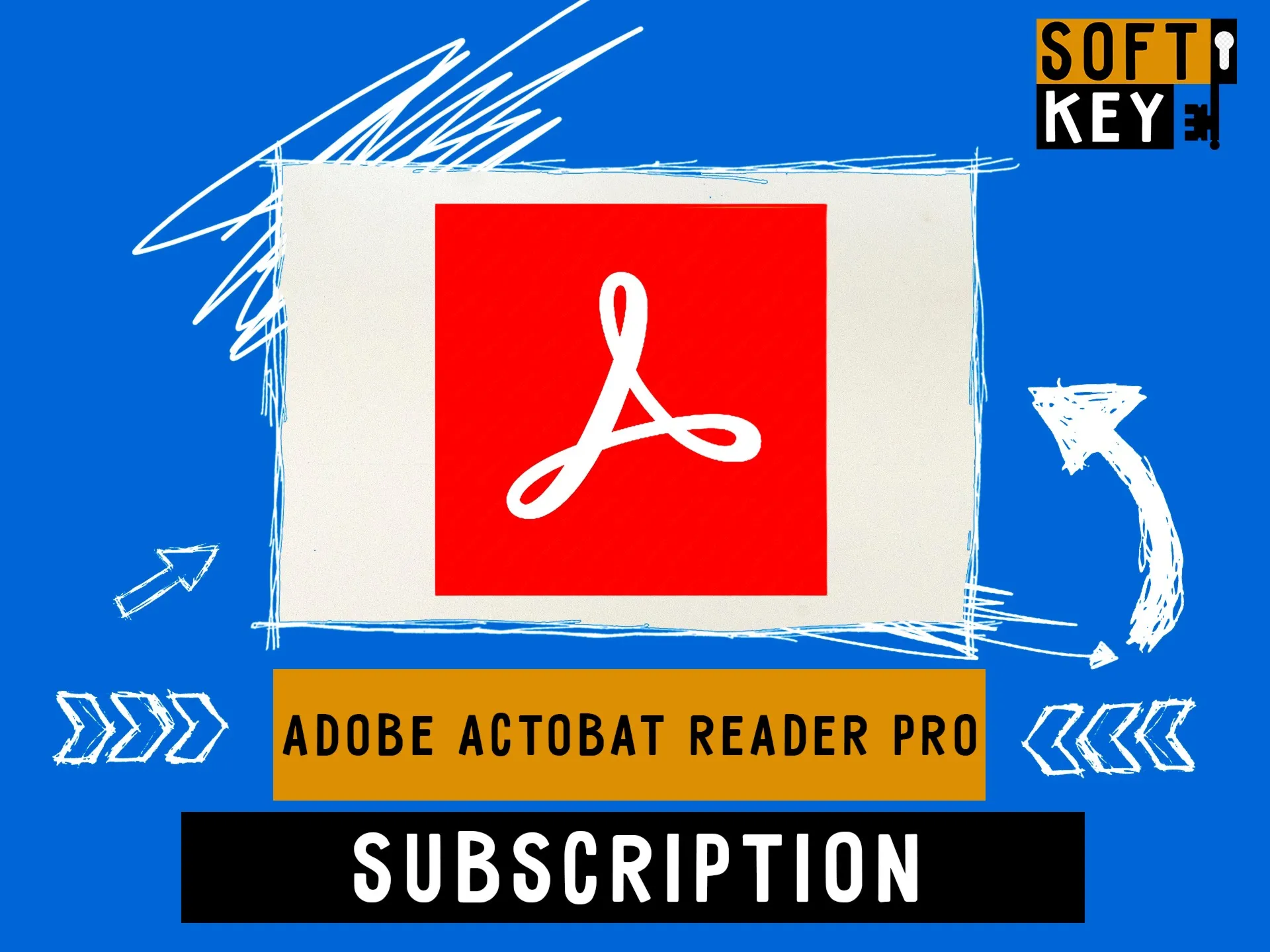 Adobe Actobat Reader Pro 1 / 3 месяцa