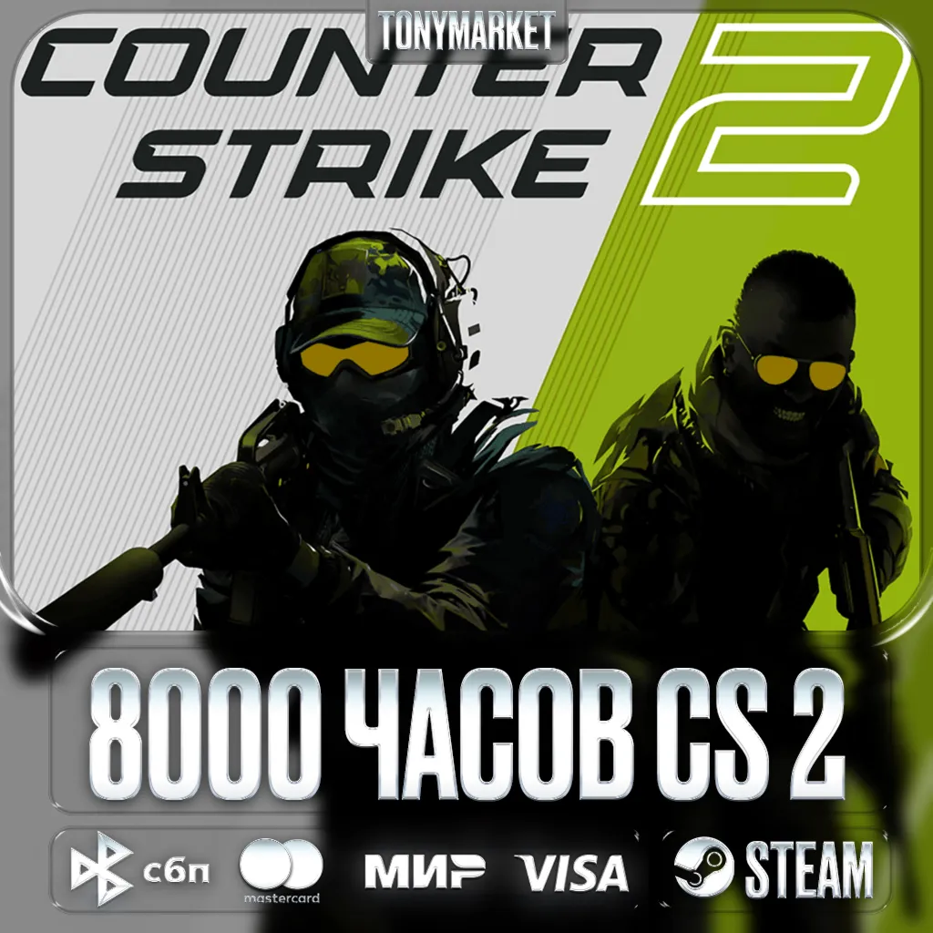 8000 ЧАСОВ Counter Strike 2 Родная почта